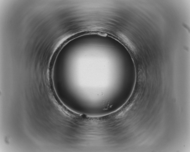 X0000096460932200801241403