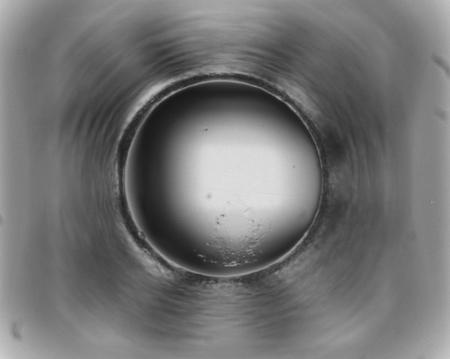 X0000096460934200801241403