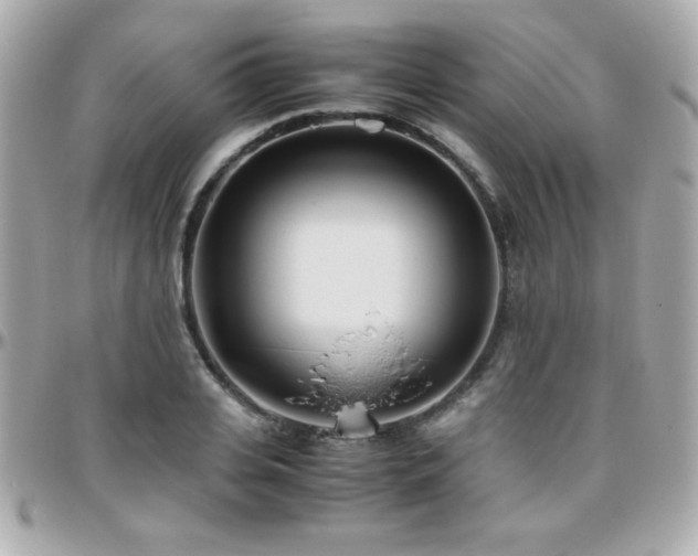 X0000096460935200801241403