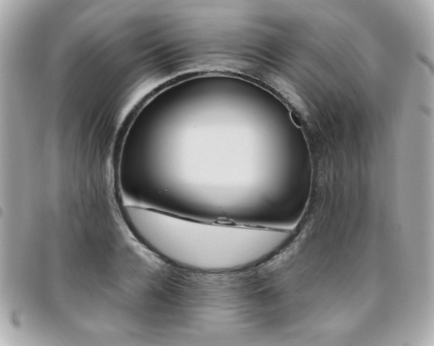X0000096460936200801241403