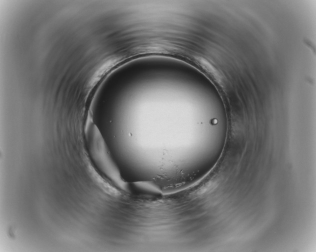 X0000096460938200801241403