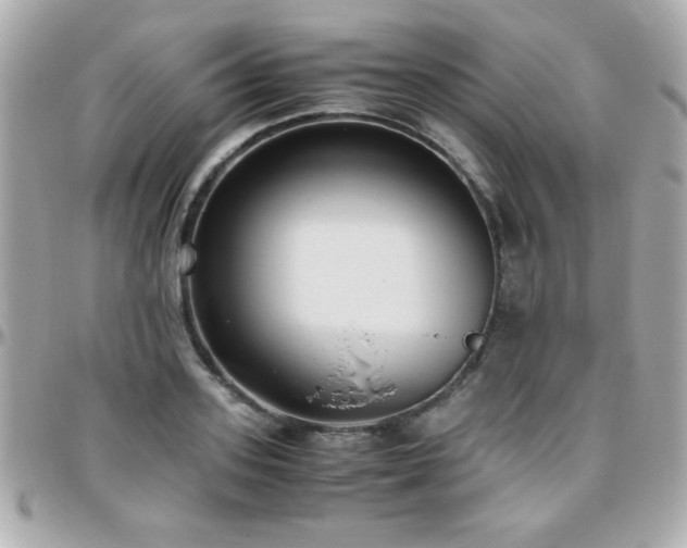 X0000096460939200801241404