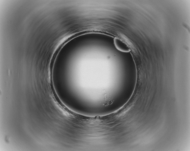 X0000096460940200801241404
