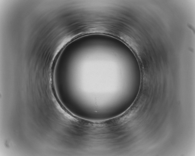 X0000096460941200801241404