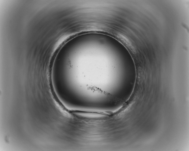 X0000096460942200801241404