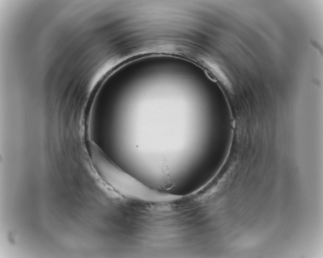X0000096460944200801241404