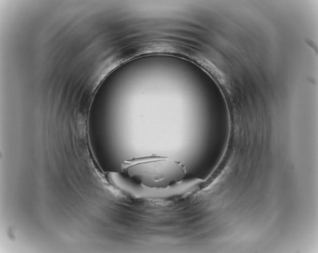 X0000096460945200801241404