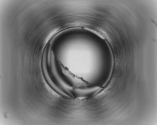 X0000096460946200801241404
