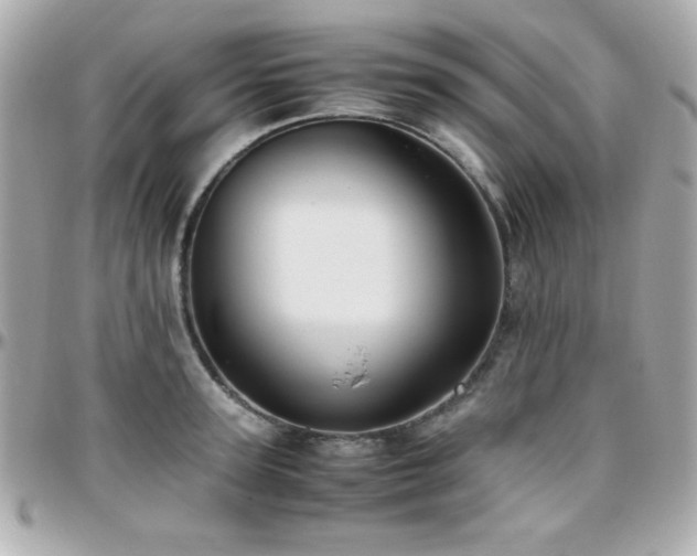 X0000096460947200801241404