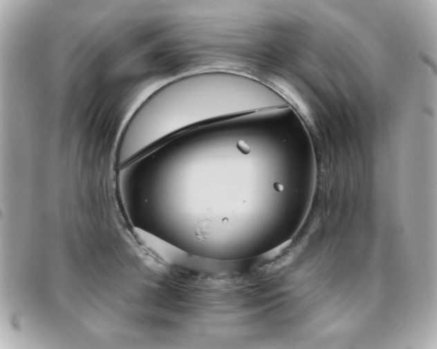 X0000096460948200801241404