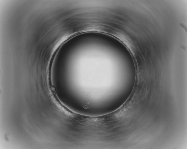 X0000096460949200801241404