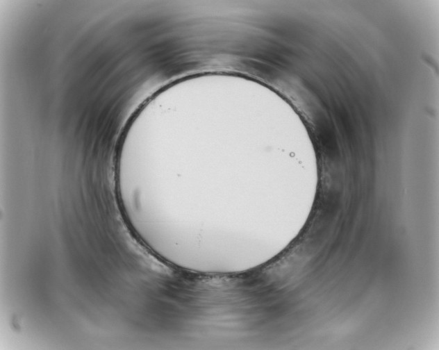 X0000096460950200801241404