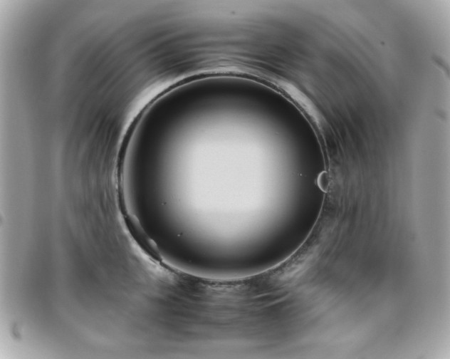 X0000096460951200801241404