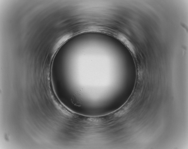 X0000096460954200801241404