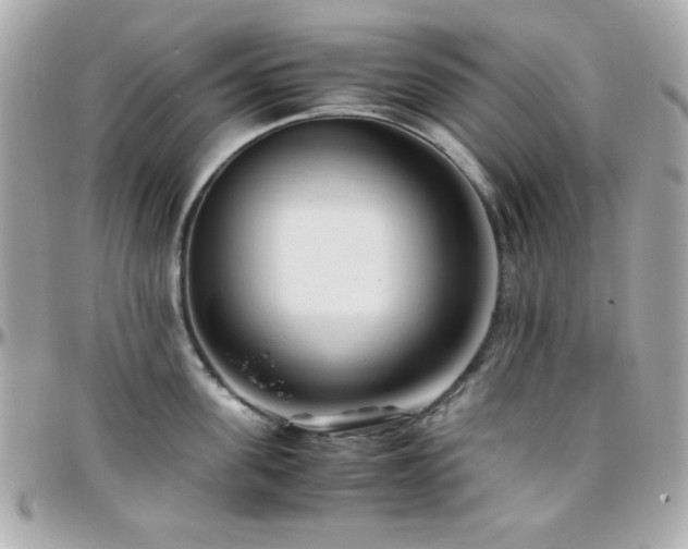 X0000096460955200801241404