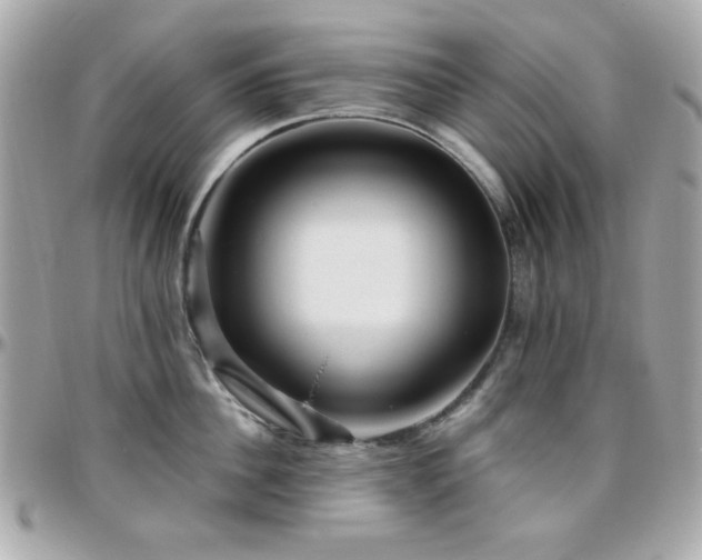 X0000096460956200801241404