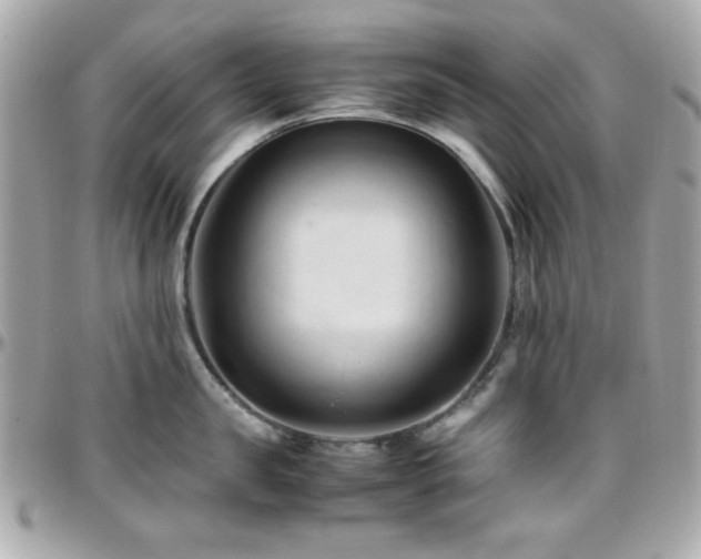X0000096460957200801241404