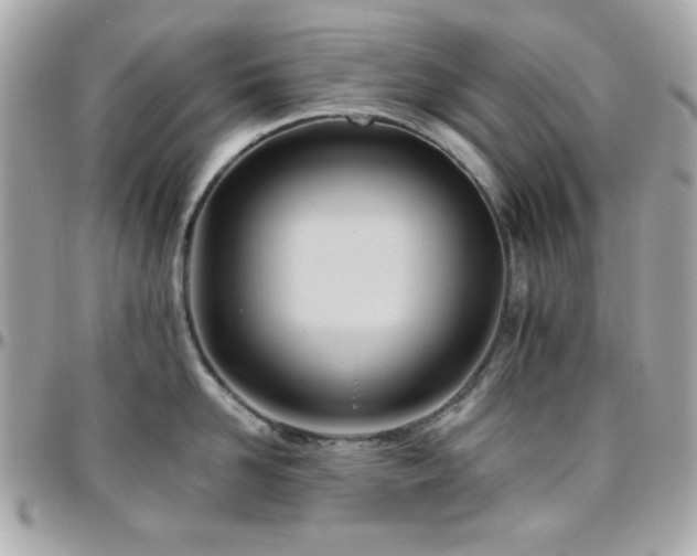 X0000096460958200801241404