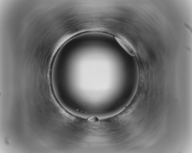 X0000096460959200801241404