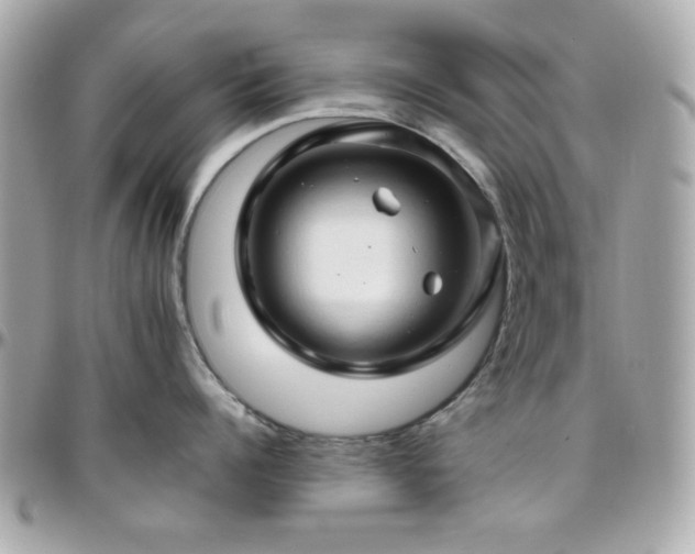 X0000096460960200801241404