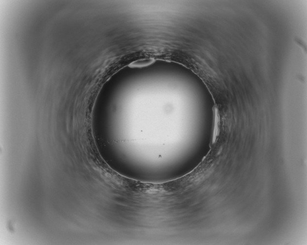X0000096460961200801241403
