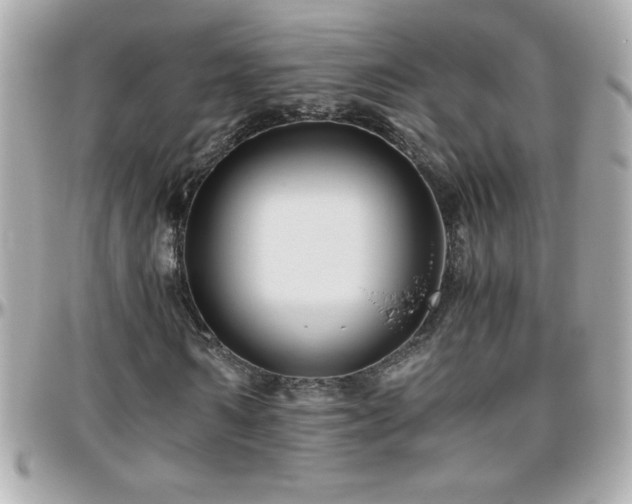 X0000096460962200801241403