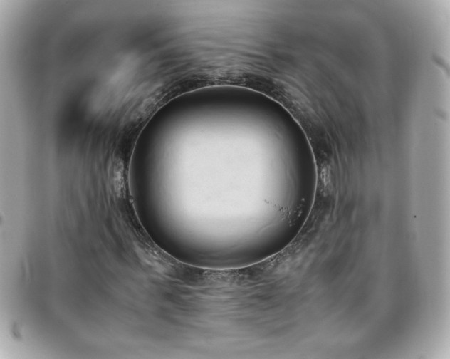 X0000096460963200801241403
