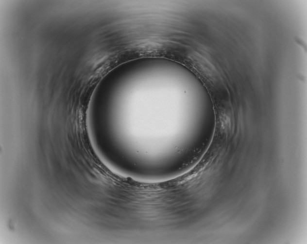 X0000096460964200801241403