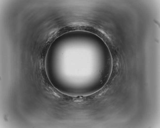 X0000096460965200801241403