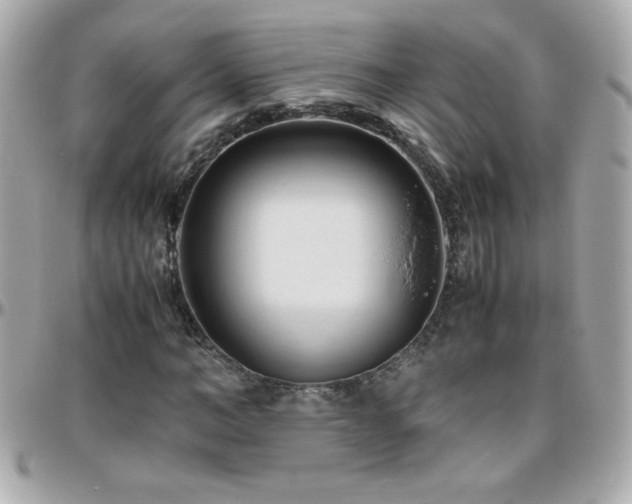 X0000096460966200801241403