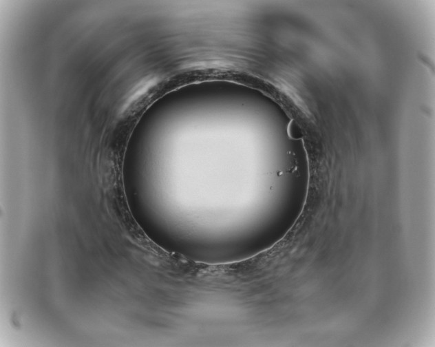 X0000096460967200801241403