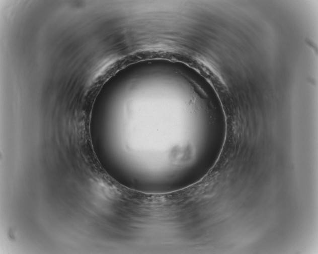 X0000096460968200801241403