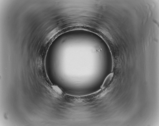 X0000096460969200801241403