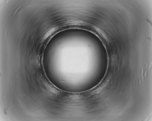 X0000096460970200801241403