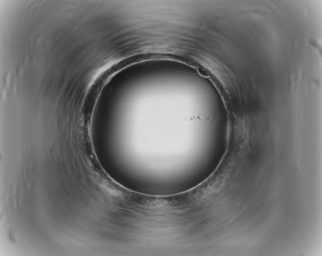 X0000096460971200801241403