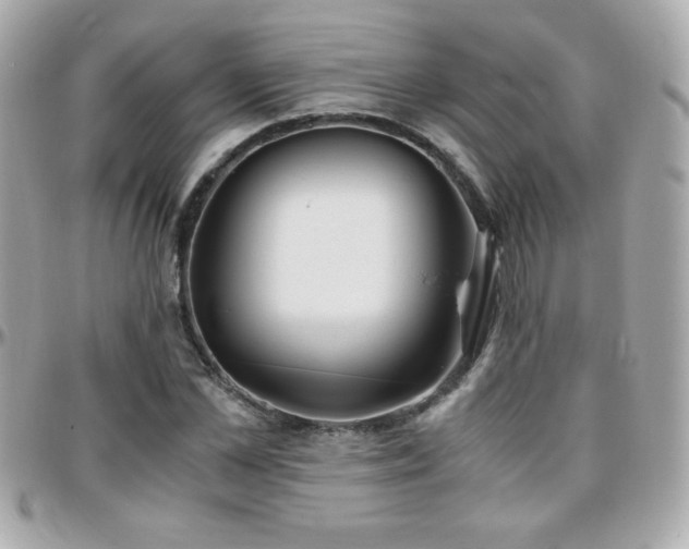 X0000096460973200801241403
