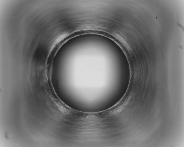 X0000096460974200801241403