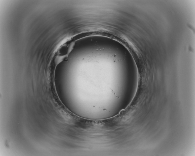 X0000096460975200801241403