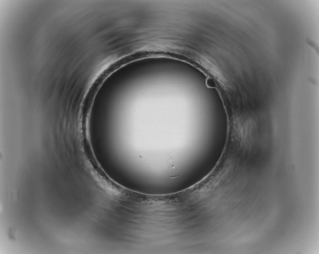 X0000096460976200801241403