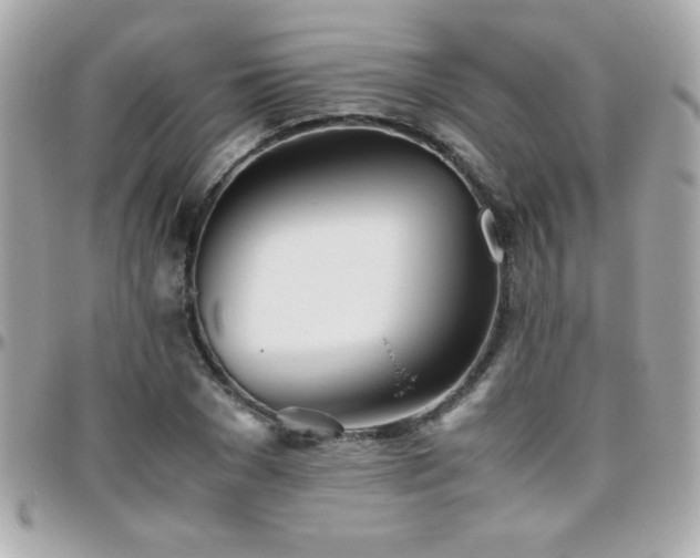 X0000096460977200801241403
