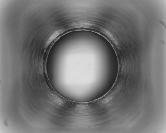 X0000096460978200801241403