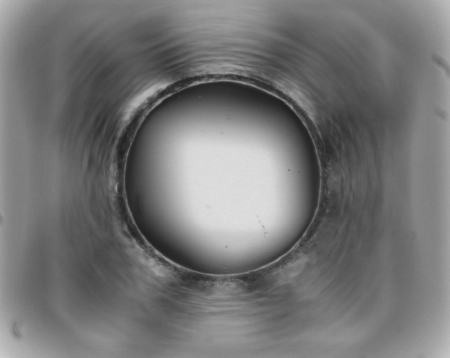 X0000096460979200801241403