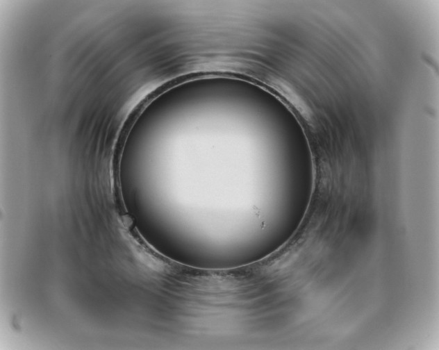 X0000096460980200801241403