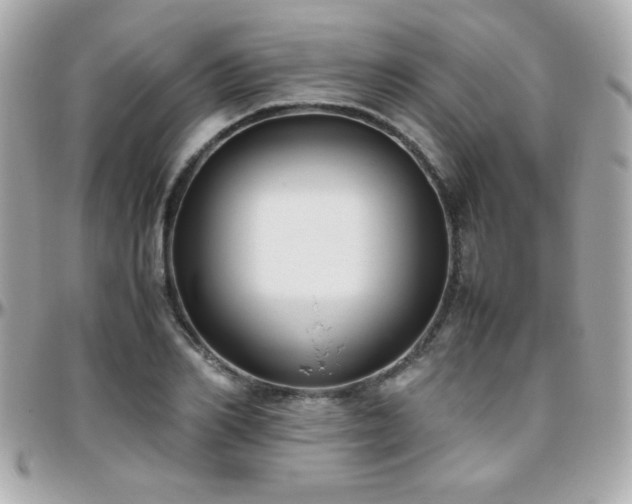 X0000096460982200801241403