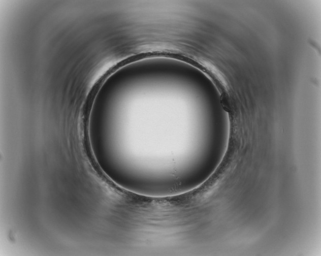 X0000096460983200801241403