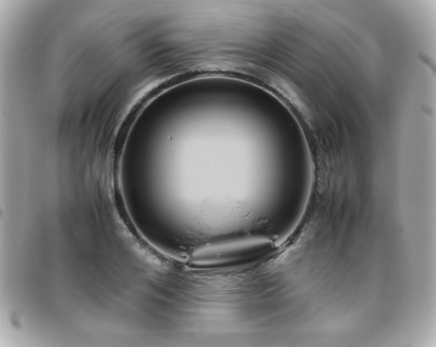 X0000096460984200801241403