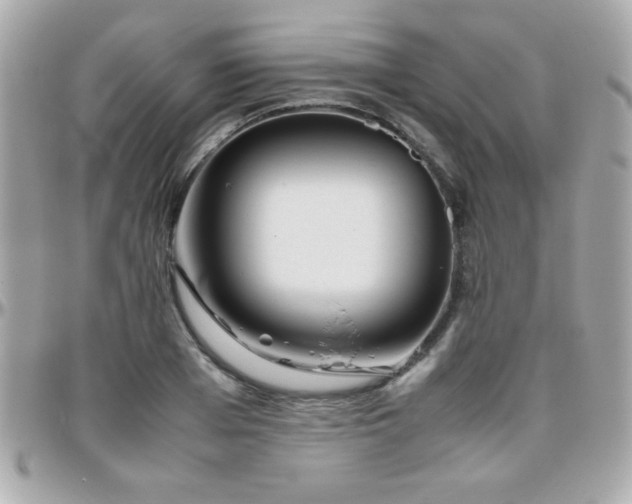 X0000096460985200801241403