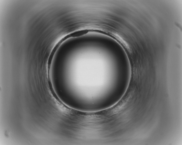 X0000096460988200801241403