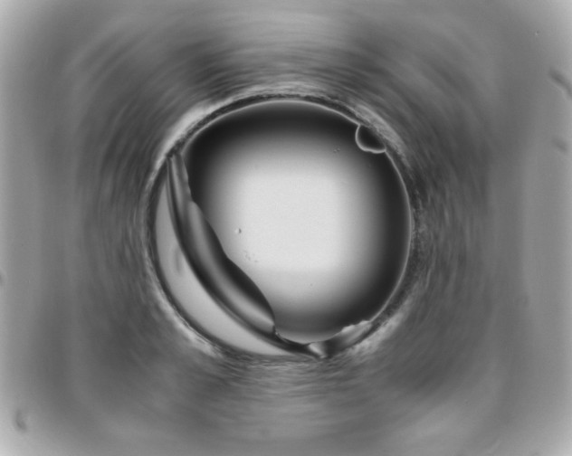 X0000096460989200801241403