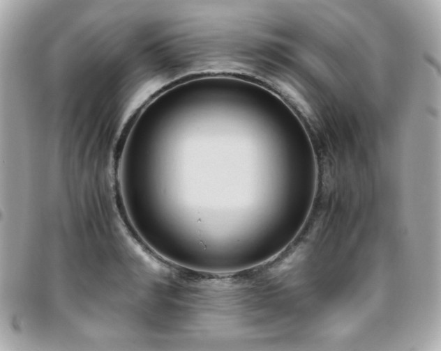 X0000096460990200801241403